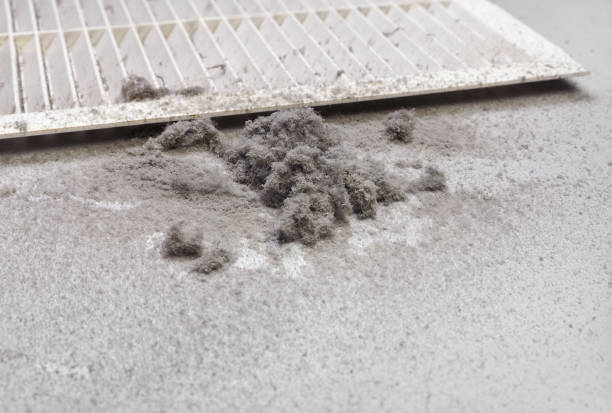 Best Duct Cleaning for Offices  in Charleston, IL