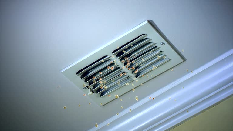 Best Air Duct Mold Removal  in Charleston, IL