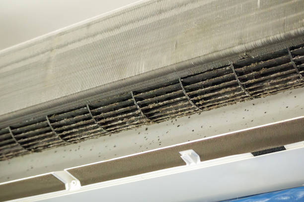 Best Dryer Vent Cleaning Services  in Charleston, IL
